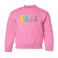 Kids Peeps Letter Patch Crewneck Sweatshirt
